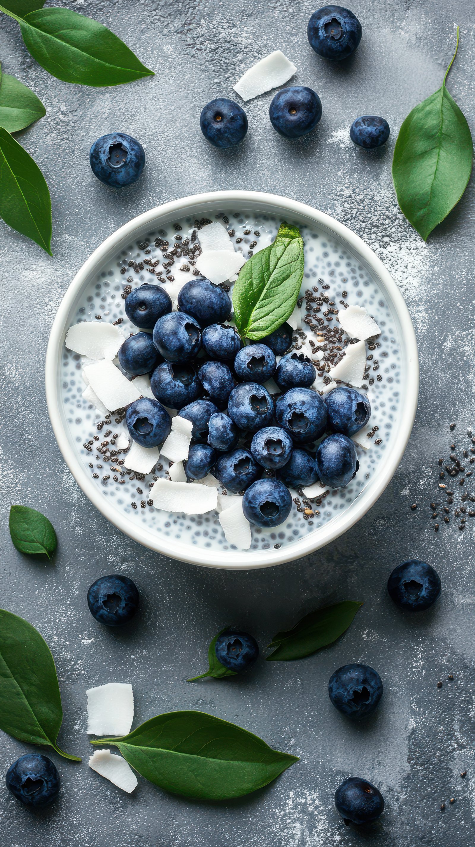 Delicious chia seed pudding topped with fresh blueberries and coconut flakes on a gray surface